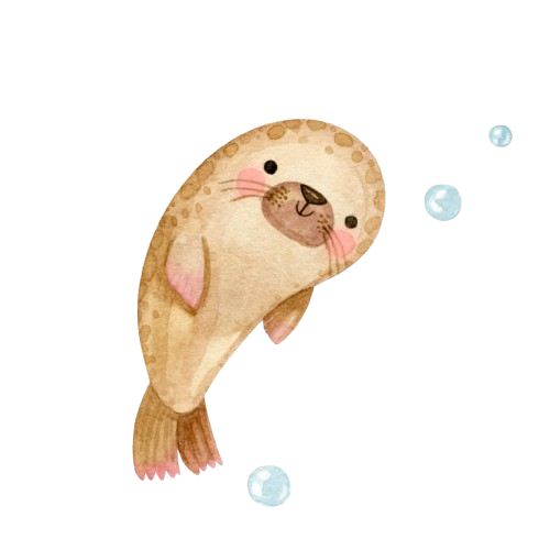 foca-removebg-preview